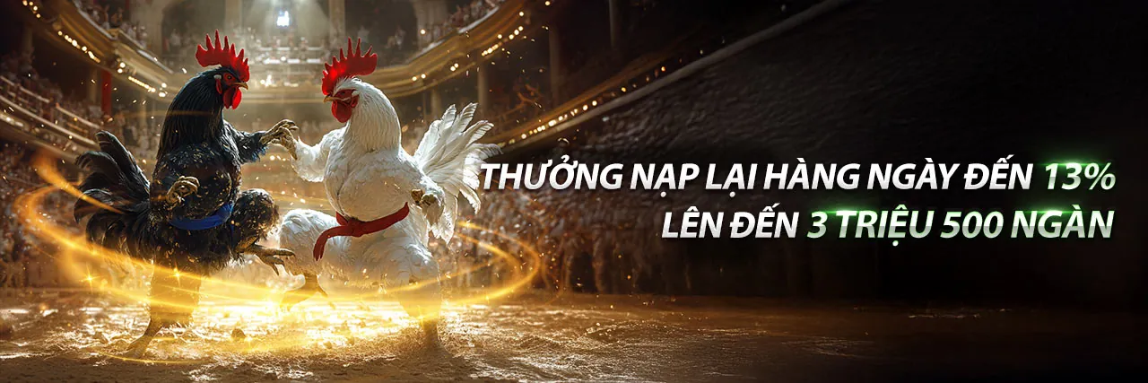 Sân vận động bóng đá với ánh đèn rực rỡ và logo rongho99 link mới 2026, thể hiện sự sôi động của cá cược thể thao.